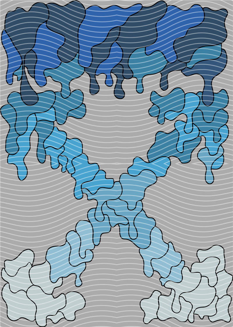 Fashion brand-EX 21